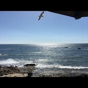 Meet your Posher, Eunice